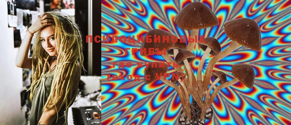 гашик Вязьма