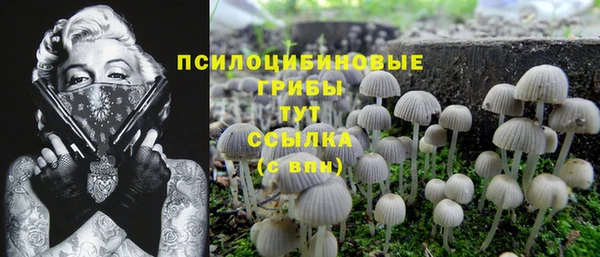 прущие крисы Бронницы