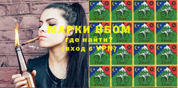 гашик Вязьма