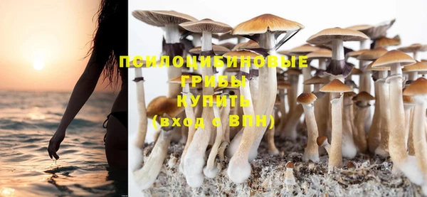 гашик Бугульма