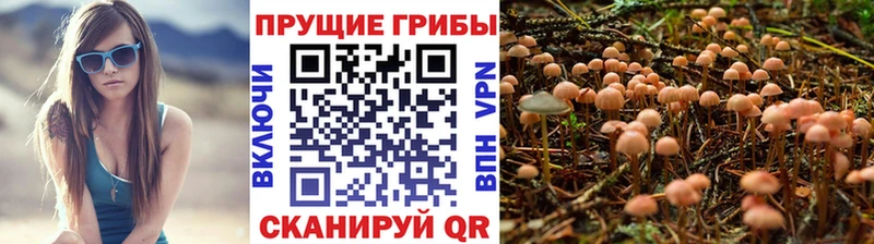 Галлюциногенные грибы GOLDEN TEACHER  Зеленокумск 
