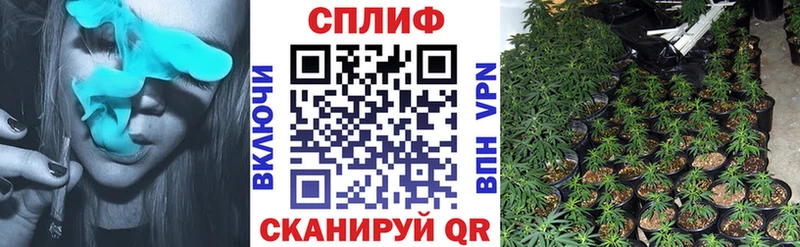 наркошоп  Зеленокумск  Шишки марихуана SATIVA & INDICA 